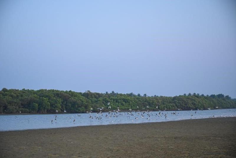 Reunion Ocean Tides Udupi Exterior foto